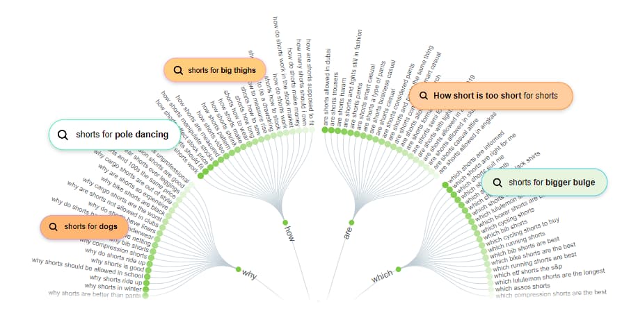 Best SEO Tools for Beginners